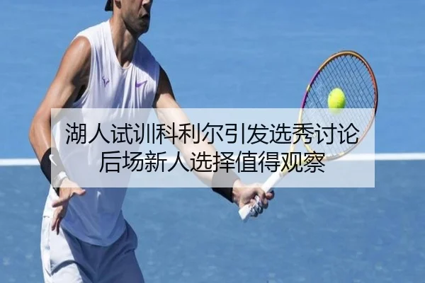 湖人试训科利尔引发选秀讨论 后场新人选择值得观察